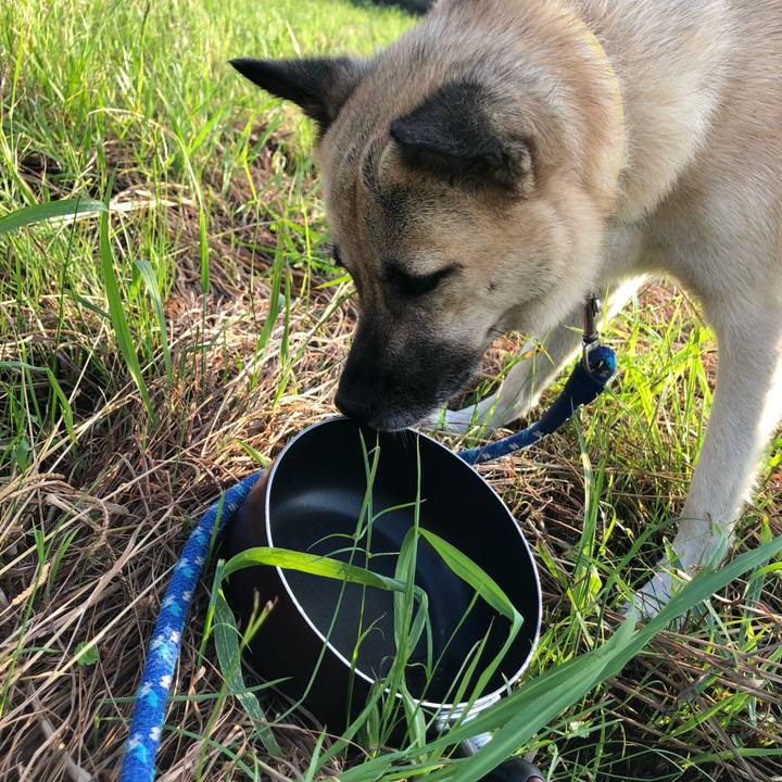 38a72ecf ab48 4f76 878d 18a3a46bb157 1568114862154