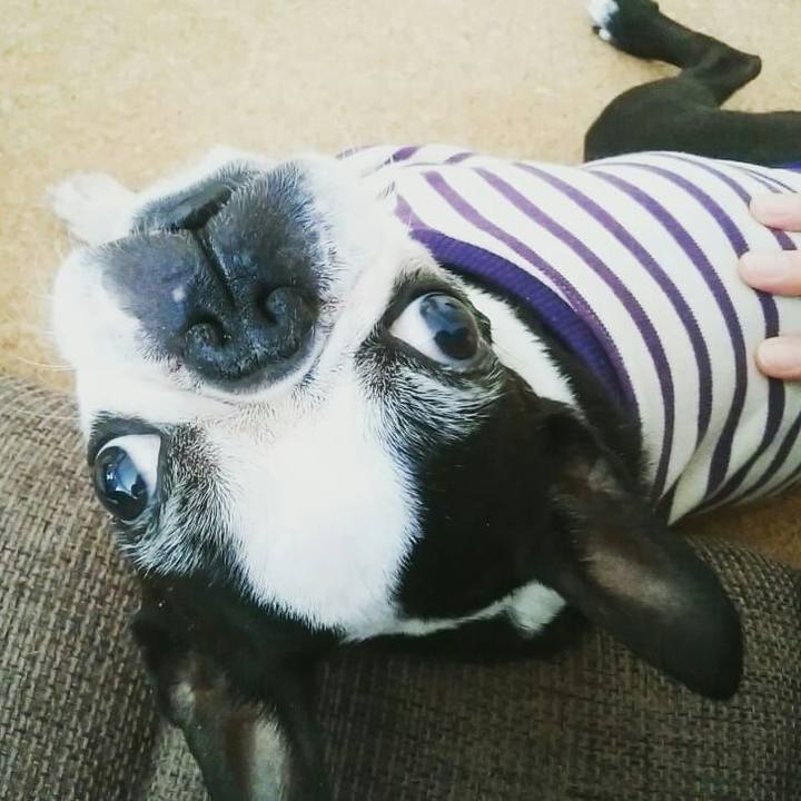 38a7597d a37c 4e97 b5f6 df36eaee1332 1522478604634