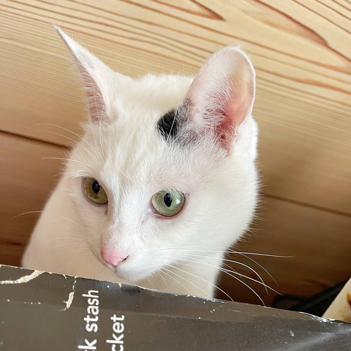 38a75ccd 8d4e 4159 9ce3 2b277605bbd6 1769917960338