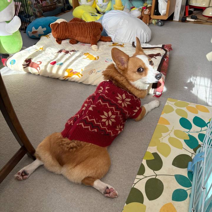 38a78763 40dc 49a9 bb61 7b8d81ad6d3d 1769222296521