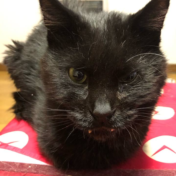 38a7a297 524c 46a0 a794 cd1764452133 1644355854790