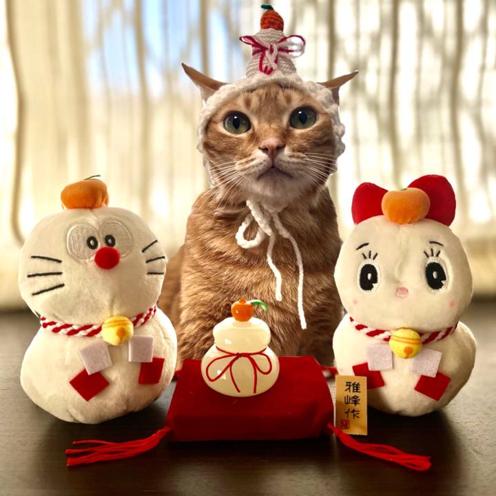 38a7b54c 091b 4486 a7f6 5048534a3851 1640744185356