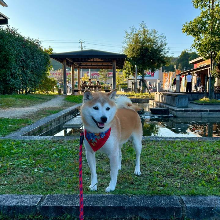 38a7b882 a8c8 4293 9d70 488b002870b9 1730624999268