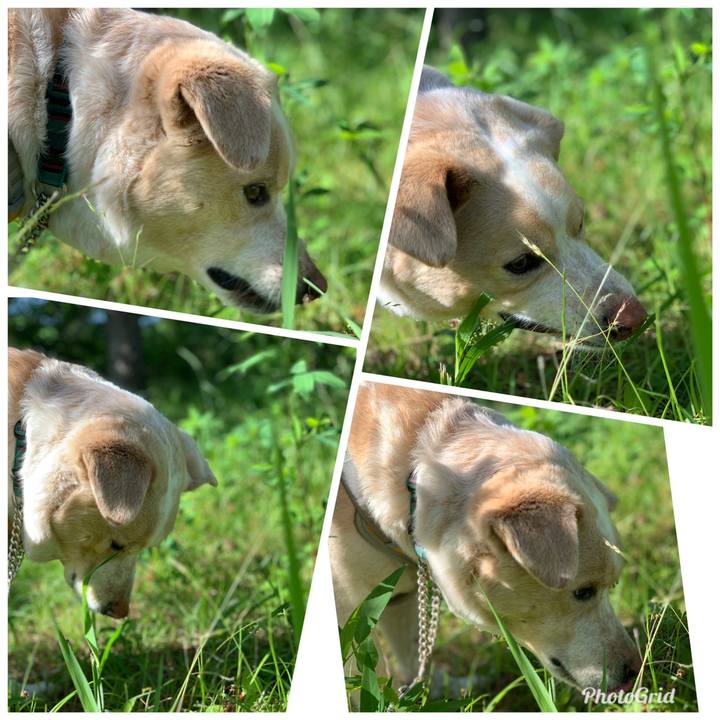 38a7d887 0eb1 4706 9e63 d2954c080528 1558580346396