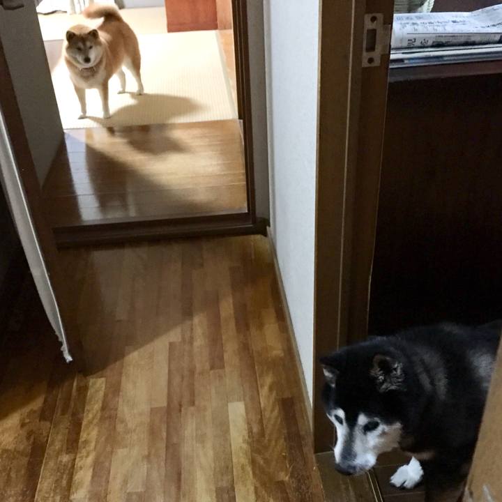 38a7dbc1 c49e 4f2f 9288 71f36761ab72 1558079896305