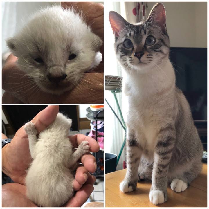 38a8a998 6e49 4ea2 ad05 67cffddbead2 1625555873206