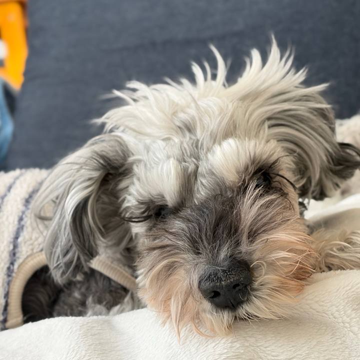 38a8c783 a325 4d71 a61a 7727e56c7f04 1773045068769