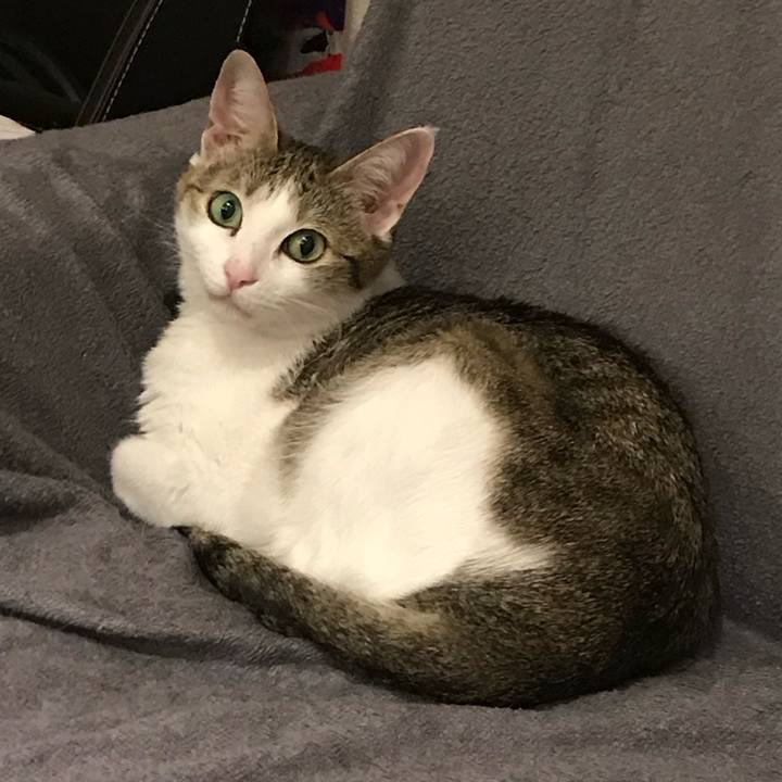 38a8d460 8027 4fb7 b819 d64d0e8fc3e3 1647303352835