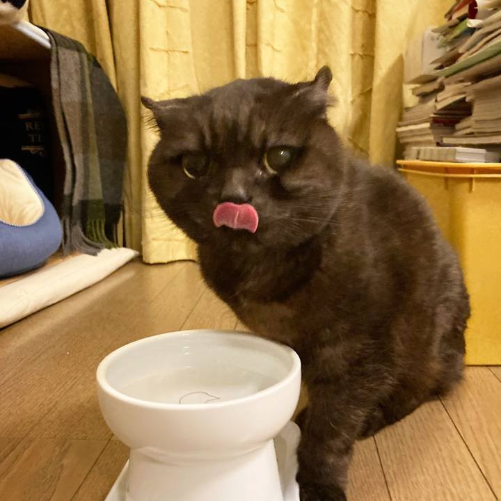 38a8edc5 000b 4fe1 bcd2 a49085743005 1644946603772