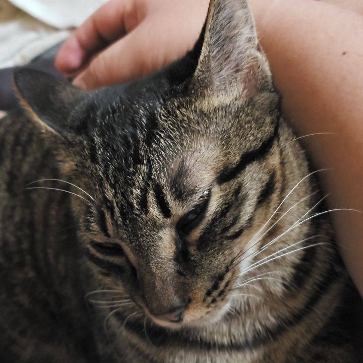 38a93de9 a481 4768 81a3 74cb40f49083 1560320203900