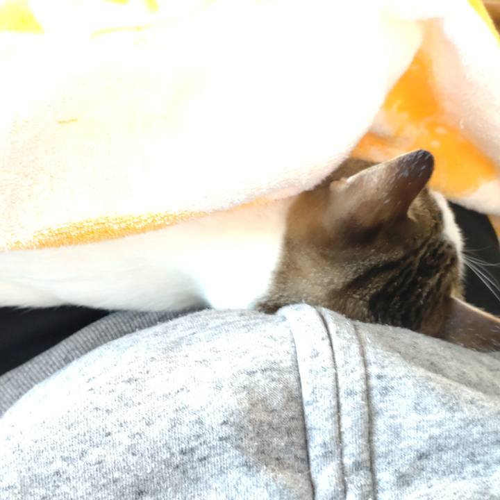 38a94cb1 14fe 4702 9f2f f39d0cdb20b4 1666245921702