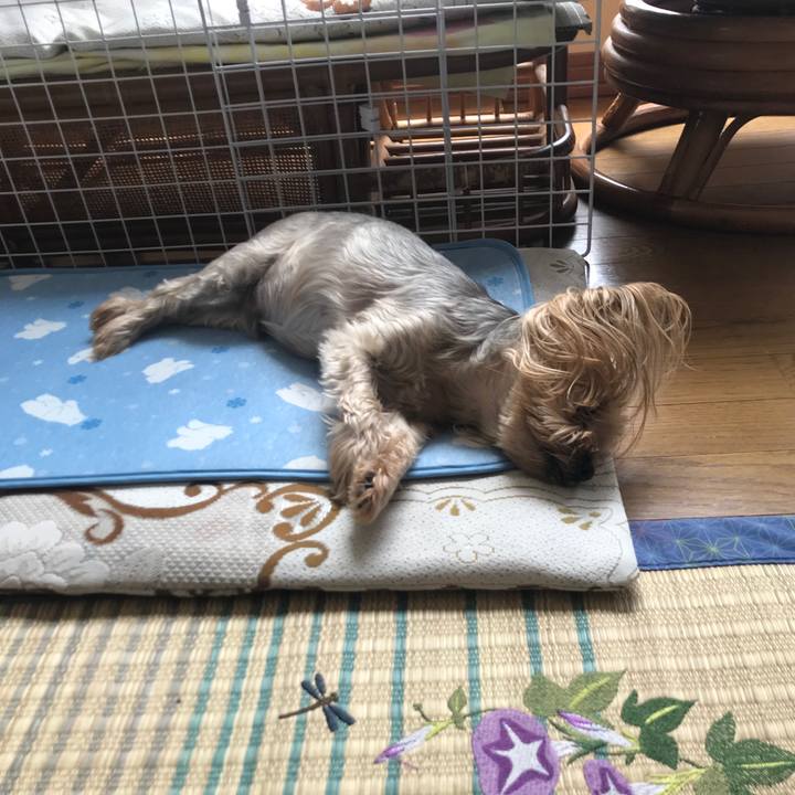 38a95abc 12d4 4ed2 9d24 818edfaceac7 1594199843644