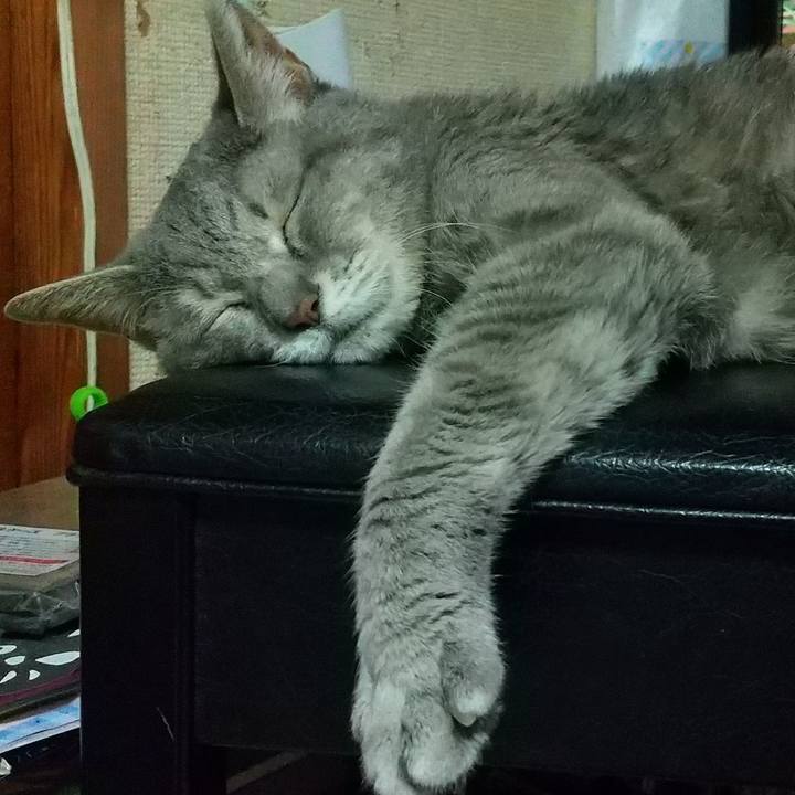 38a962f3 deb9 4e15 a0c1 3cbcd53384d6 1693830817833