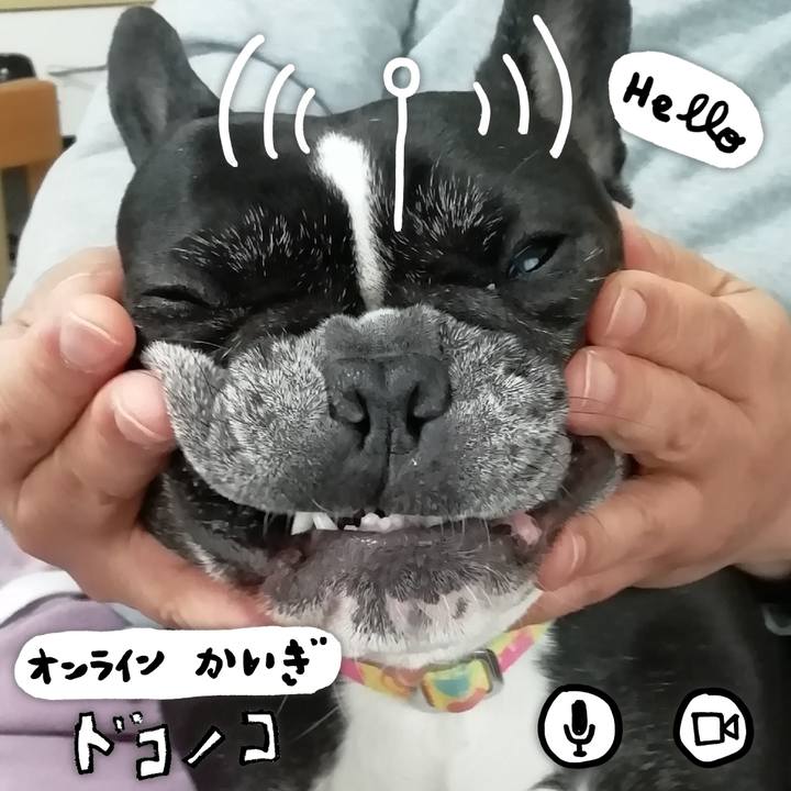 38a97379 9e05 4a73 9d67 0a660305fca0 1591072120525