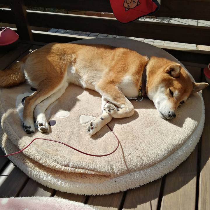 38a9d24c 7be1 4eb8 90a5 70587605b2fc 1613717822745