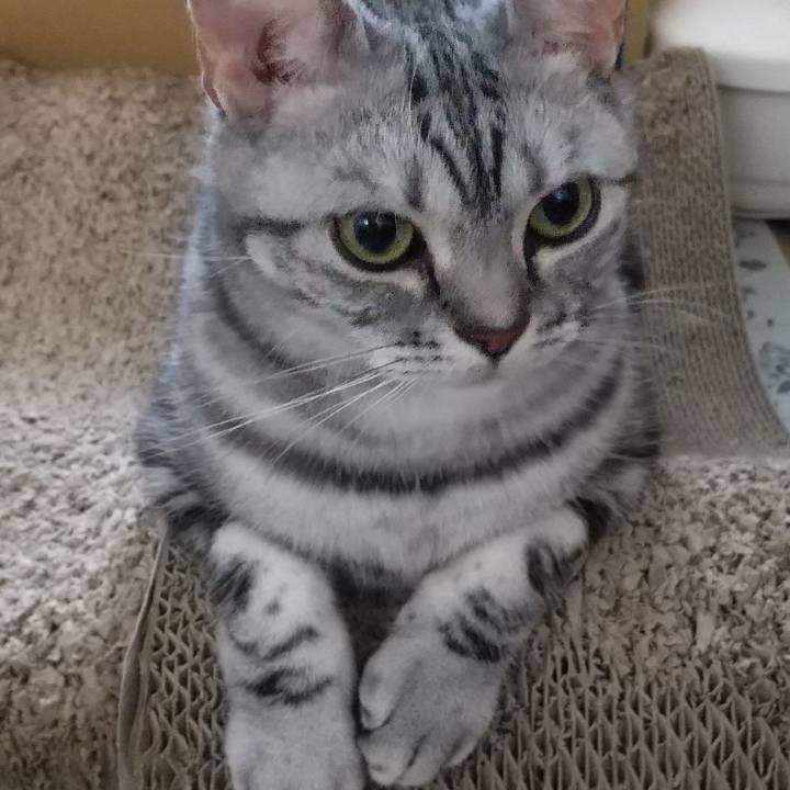 38aa0cb6 f057 40b0 a2be bbee17200aca 1628426726106