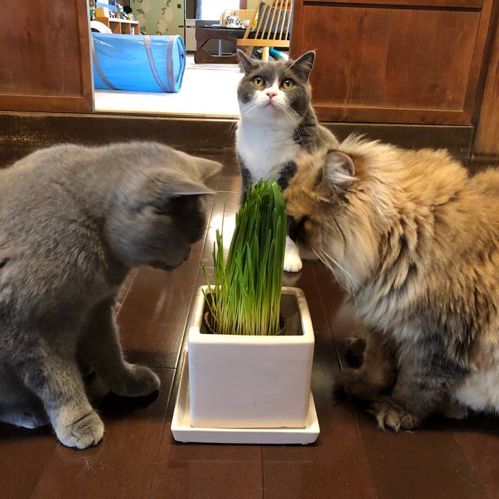 38aa1b23 49aa 414d b162 1d6c3289b28b 1566740753968