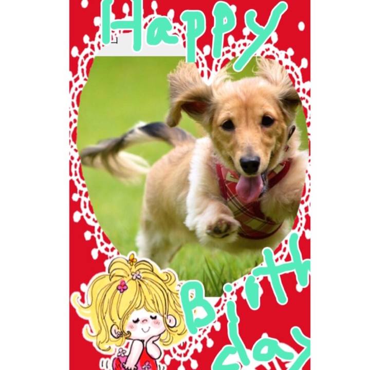 38aa22c7 9d5e 48ce 9138 5c858323d68d 1514159429067