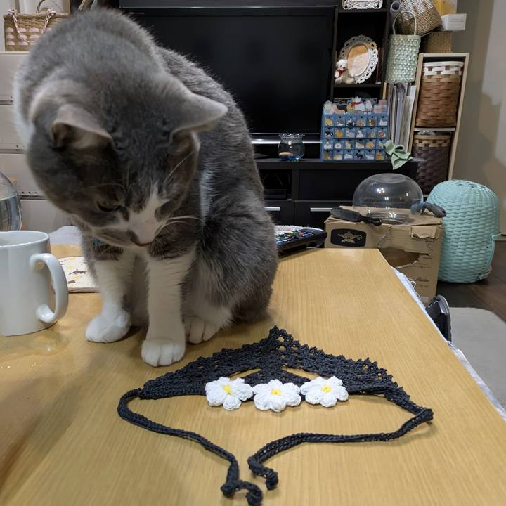 38aa481f d478 4111 a063 6602e6880064 1770041026027