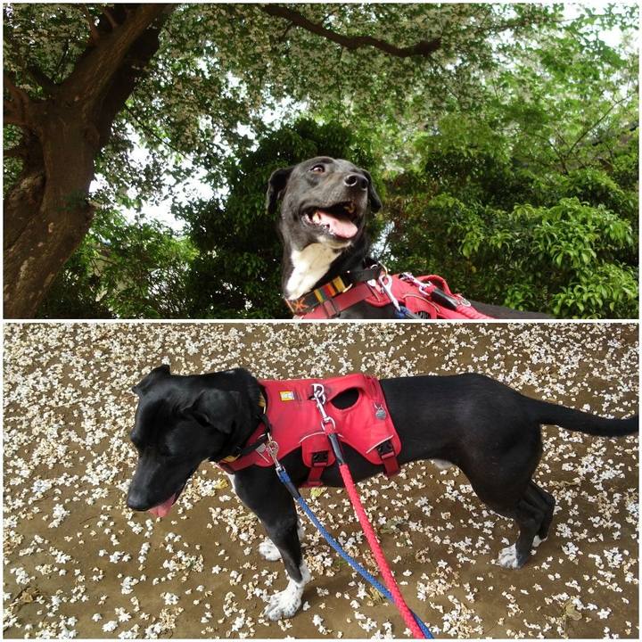 38aa4e77 1ea5 4bec a6c7 ce80ad13f6d2 1589590329958