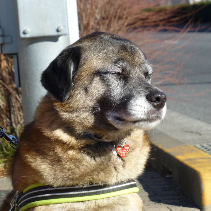 38aa657b a5d9 4b97 8940 8a2fdafc53f2 1581245541958