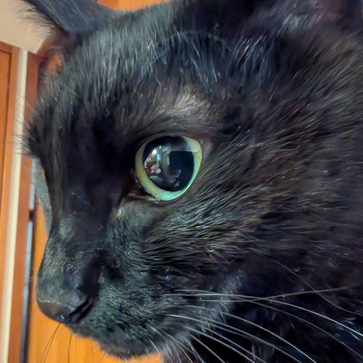 38aaacb6 0154 4f74 a538 1c03477bce55 1769814563367