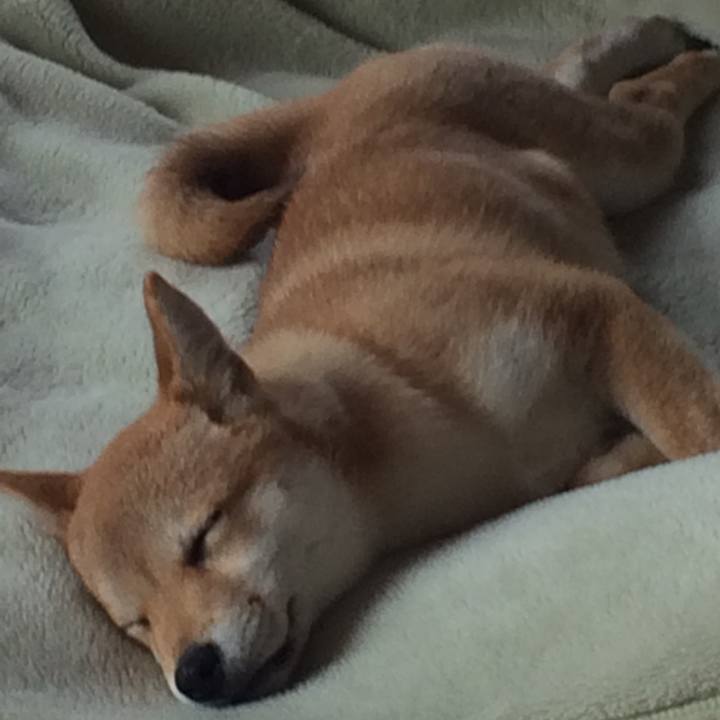 38aaad0b 1d3e 4a49 a770 30a3d4bebe80 1619014247711