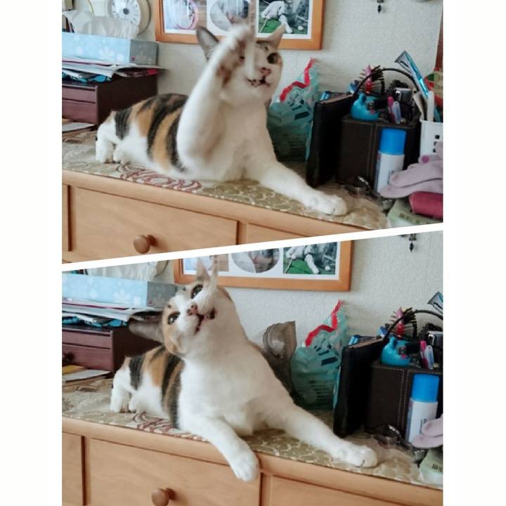 38aaad27 dea7 4516 9655 4ecd6506d938 1514690357144