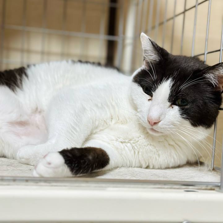 38aac481 051e 4158 b0dd d0de286b1916 1686451297265