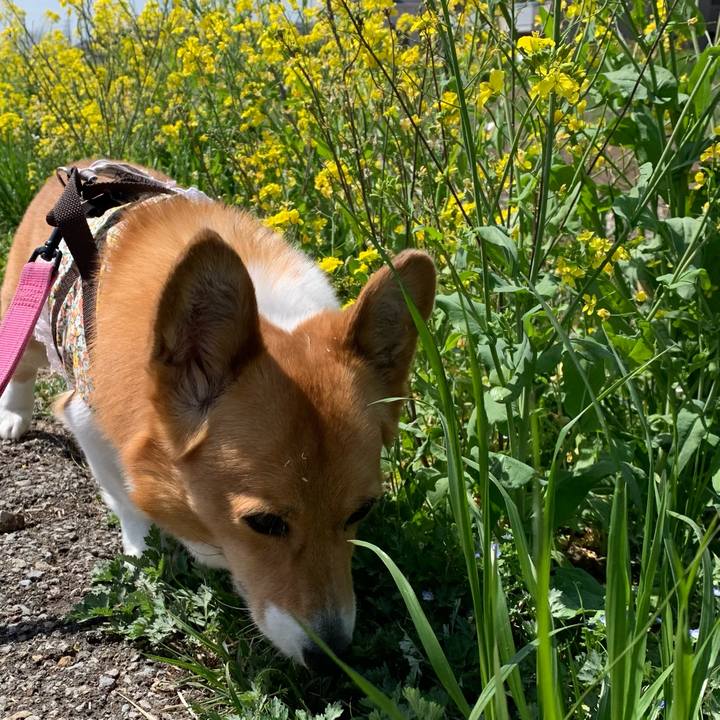 38aacecf 9e69 404a b5aa 43afebb73ffe 1649566004923