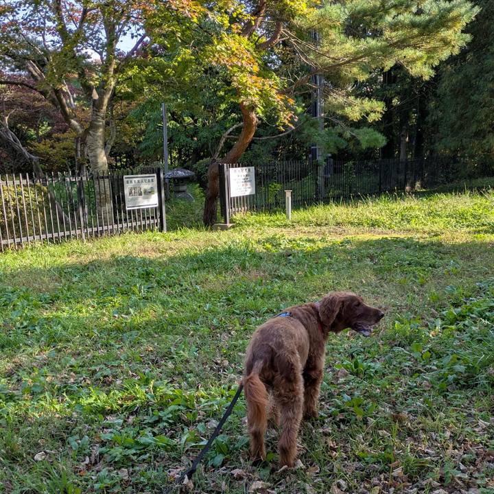 38aafef9 4069 4083 84ba 82a6563f2d76 1761730255759