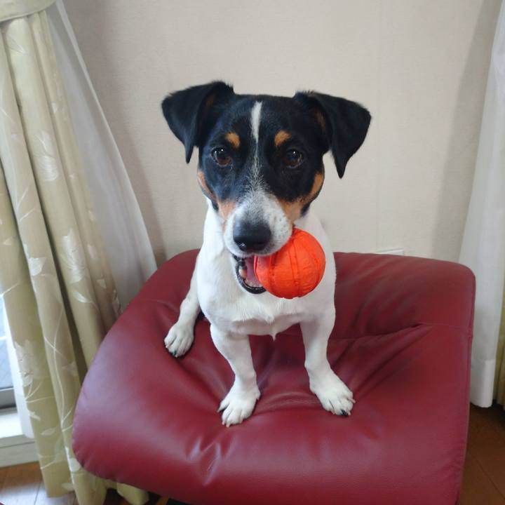 38ab0263 50ad 42d8 9ee4 aaa7fd163b3c 1591110608624