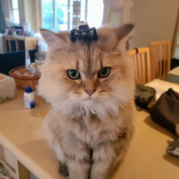 38ab1b37 a946 4c59 8c8d c57b64a8faa1 1633065452393