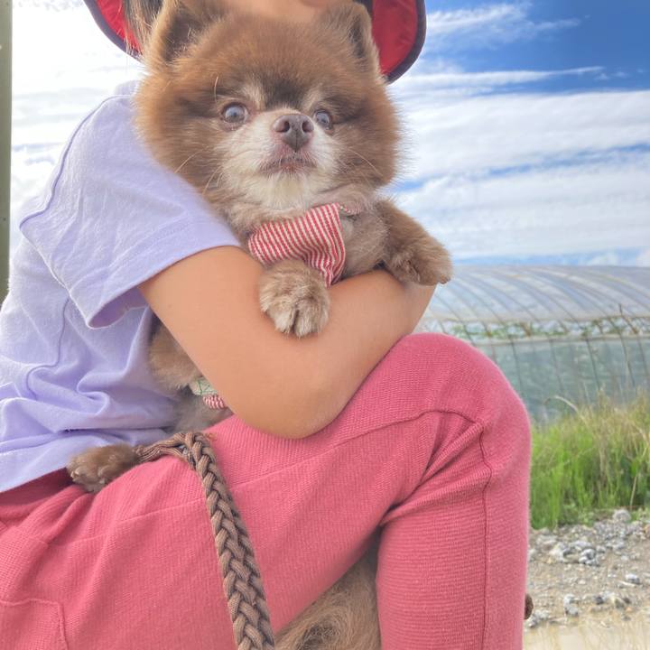 38ab4e31 a861 4b6e bad1 55f9b9c51b75 1664224879921