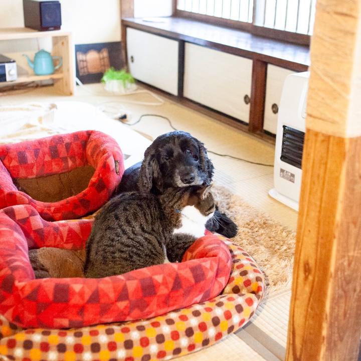 38ab5a56 1e18 4cc4 8710 699de2ec6fcd 1579330490250