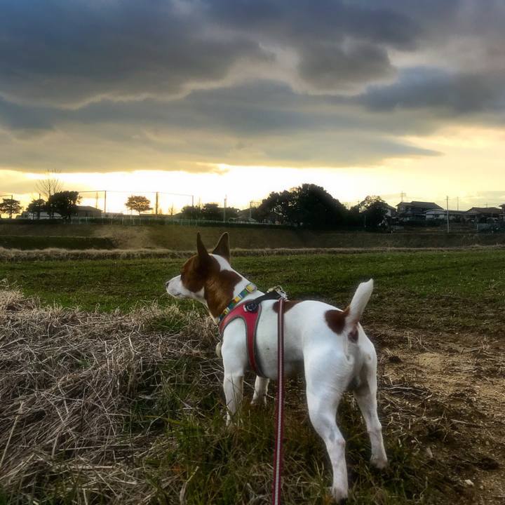 38ab81d8 8477 4a0c bd63 28905def9b73 1516272400173