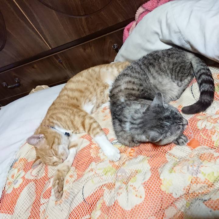 38aba15f c10e 40f0 8c87 0f85cf2d52d1 1568293353530