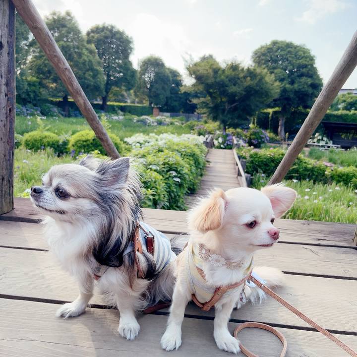 38abcb2f 49ea 4286 b8ad a53250af7ce0 1687318432993