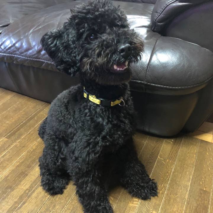 38abe1f3 7aef 442c 973d caf4108609ed 1507894849848