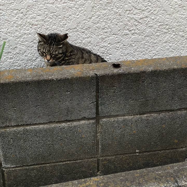 38ac2522 1873 408a 80e7 09214d3318c9 1523081714322