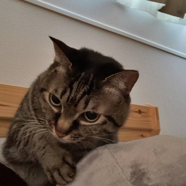 38ac2a71 0408 4c1f 9d51 4fa1cddd5490 1642810761154