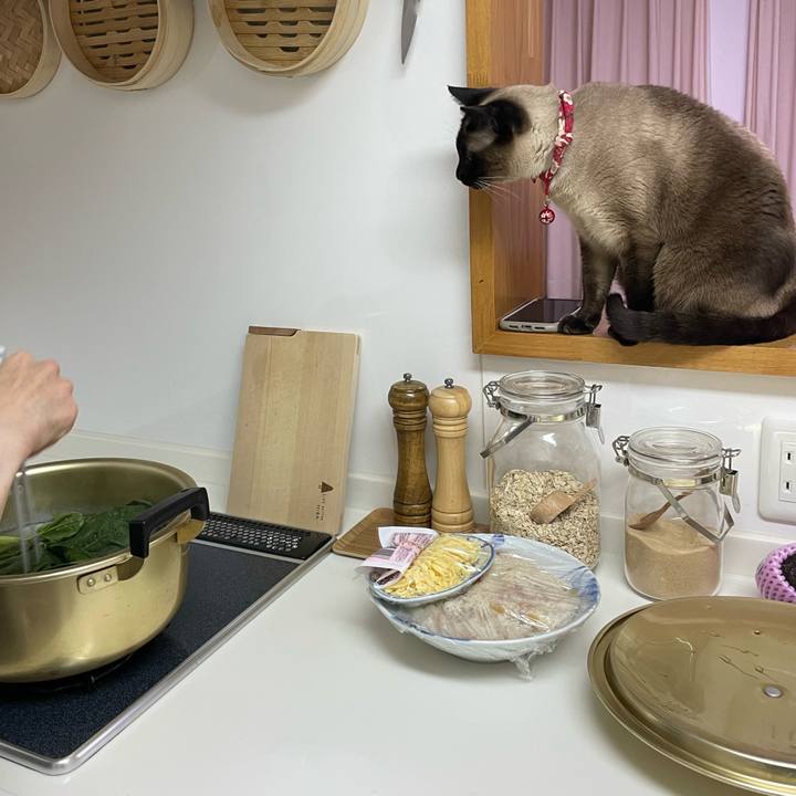 38aca32d 3362 4889 a56d a767fe07e041 1773000828291