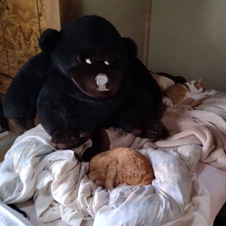 38aca7cc 2deb 44a0 a612 0e3427ad6329 1744411208566