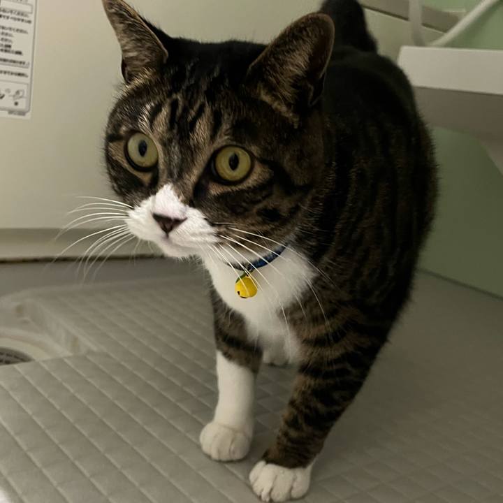 38ace684 07d3 4fc9 bbe3 218fcc84a383 1760486386896