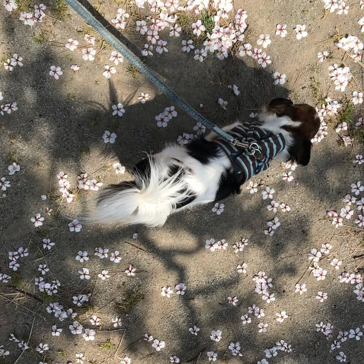 38acfac7 c82d 4447 b60e b1a21c5948a1 1553655011452