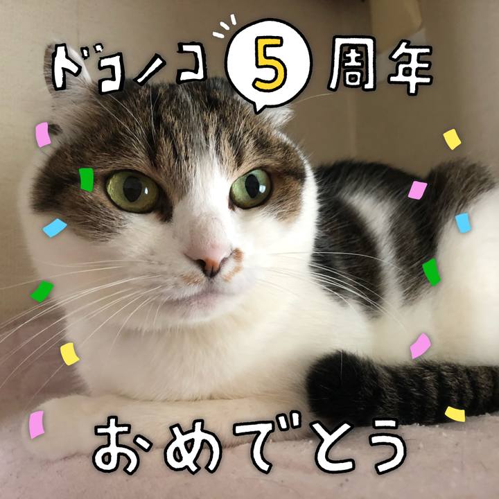 38acfe04 e67b 40ed 9df2 e8a0538791c8 1622925337710