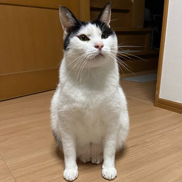 38ad0873 f8be 4351 9c52 5e8206a16dc2 1584616099722