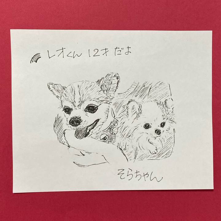 38ad189d 270b 46ac 9207 c079d73ea8da 1626899055813