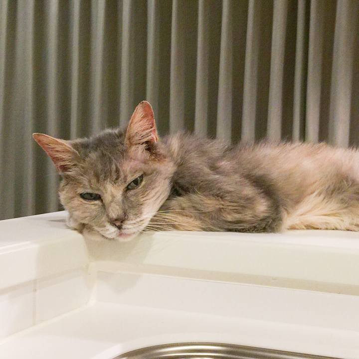 38ada8af 8cde 4701 b8d0 22cc67309895 1526651027405