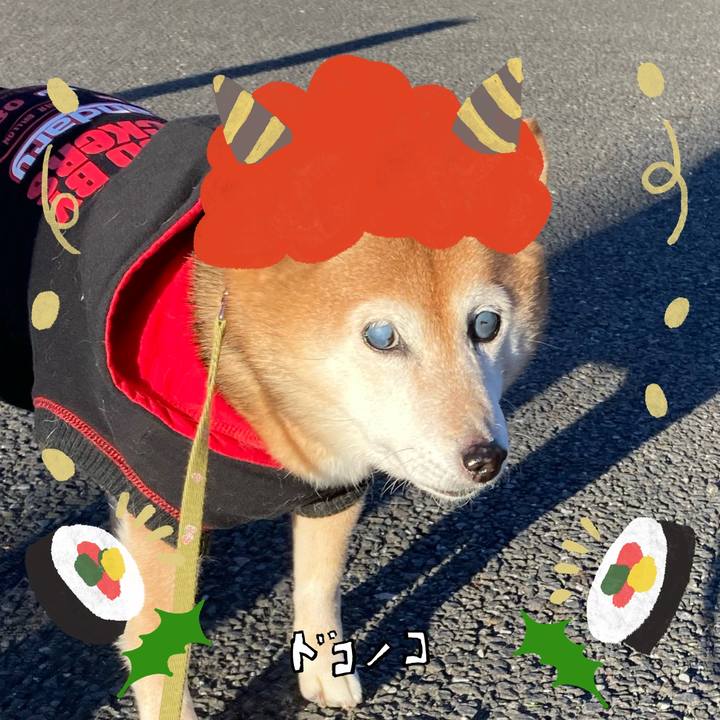 38adab50 1ecf 42ae 96d8 0887a4362b6e 1706772794976